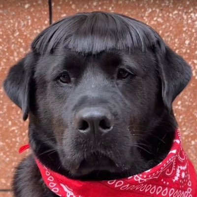 15febeveryyear's profile picture. 