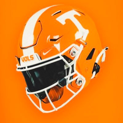Go Vols from the swamp. Im a proud White, Christian nationalist. Republicans and Democrats are controlled by jews. The @ADL is a terrorist organization.