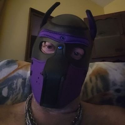 53 yo gay furry slut who loves public play and being submissive! 18+ NSFW