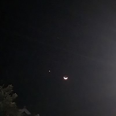 dwwwi__'s profile picture. 