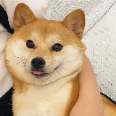 dnlslon's profile picture. 