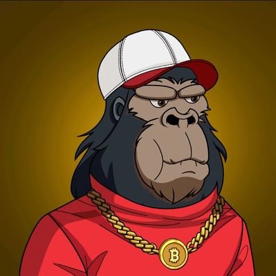 shunanonns's profile picture. 