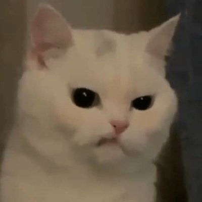 ekoyulii's profile picture. Bukan Bambang Wahyudi