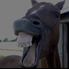 Kooda_26's profile picture. real ass dude