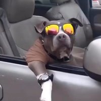 Pointcom (@thprogress) 's Twitter Profile