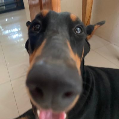 haynakuvina's profile picture. i tweet maybe twice every other year