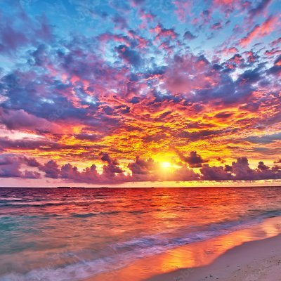 Sunset__MMA's profile picture. Let's Cook. Bellator: (7-1) PFL: (6-1) UFC: DM For Analysis/Breakdowns #MMA #UFC #Bellator #PFL #FreePicks