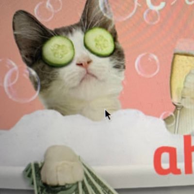 Aficionado al Data Mining y adicto a los chicles de menta…