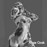Alexa Cook (@ccookaleexa) 's Twitter Profile