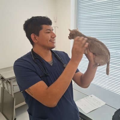 Veterinario orientado a emergencias y anestesia/ veo animes pero no soy otaku/amante de los deportes de contacto/me gusta el asado/fan del café