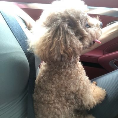 Kaylee651131770's profile picture. Hey, thanks for following me.where are u from?