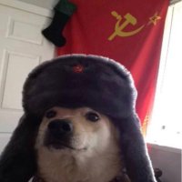 Lord ShiftyMunkey (@shiftymunkey9) 's Twitter Profile