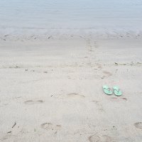 Elvira monzo fernandez (@elvira49833) 's Twitter Profile Photo