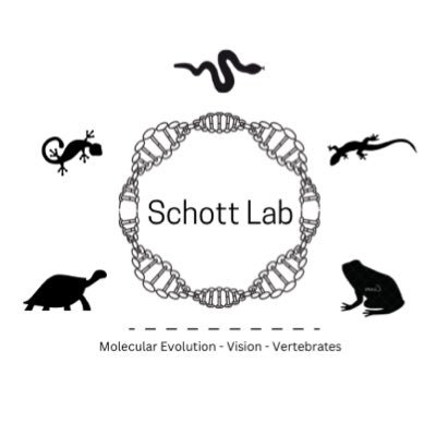 Schott Lab