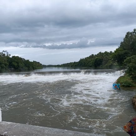 ArunrajG2204's profile picture. #byebyebirdie
https://t.co/A2gangFqhV