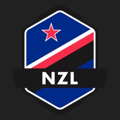 Team NZ Overwatch Profile