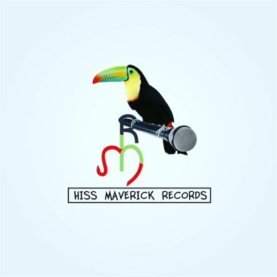 Record Label. Afro, Pop, Amapiano, Hiphop, Afrobeats, R&B   Contact @hissmaverickrecords@gmail.com