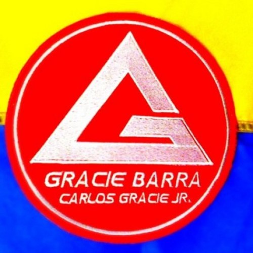 Bjjukraine's profile picture. BJJ sports news in Ukraine - Federation Brazilian Jiu Jitsu Ukraine - Федерация Бразильского Джиу Джитсу Украины