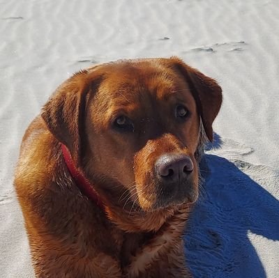 2_jamason's profile picture. CPA/Former CFO Investment Firm. 2 great kids and a great wife. And a wonderful dog. Love Blizzards and extreme weather.