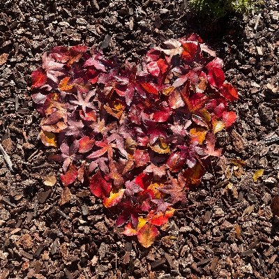 AHixon411's profile picture. please please try and hurt my creditability 🙏🏼