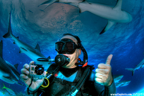 flkitesurfer's profile picture. Kitesurfing, free diving, standup paddle surfing, alpine sports, travel, photography and ... all online