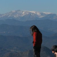 Aleks 🔻 (@alekslacima) 's Twitter Profile Photo Aleks 🔻 (@alekslacima) 's Twitter Profile Photo