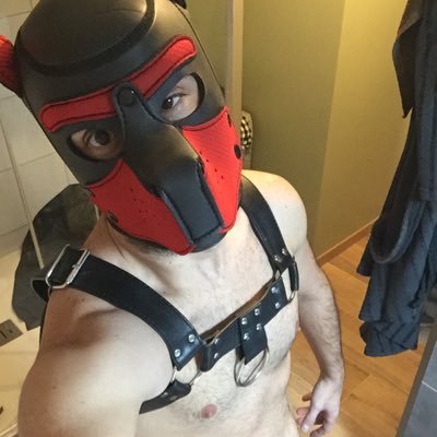 KinkyXarubi's profile picture. Fan de latex, FF, poppers et bien plus encore 😛 ! Ouvert aux nouvelles rencontres et à s’amuser 😇😈
