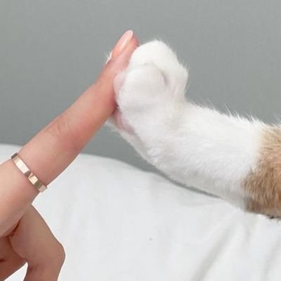 jak_signals11's profile picture. We offer free short crypto pumps twice weekly.
1 million persons in our telegram channels participate weekly in our pumps