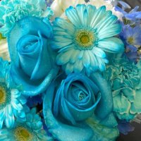 ありな (@dg_c_d) Twitter profile photo