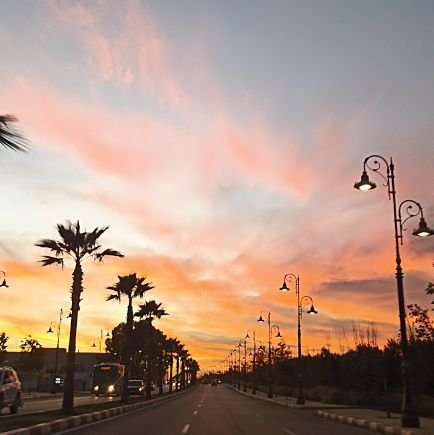 DrissiaSarih's profile picture. 🏫teacher