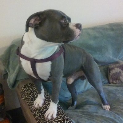 DBRoberts57's profile picture. 