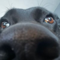 Corsnor (@c0rsn0r) 's Twitter Profile
