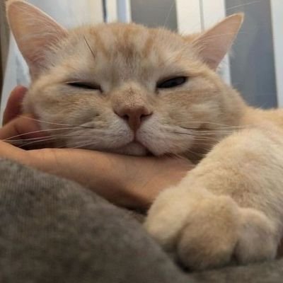 Marlon_Gvz's profile picture. Onichan