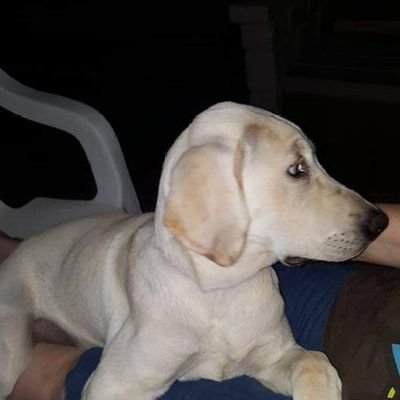 kig_az's profile picture. 
