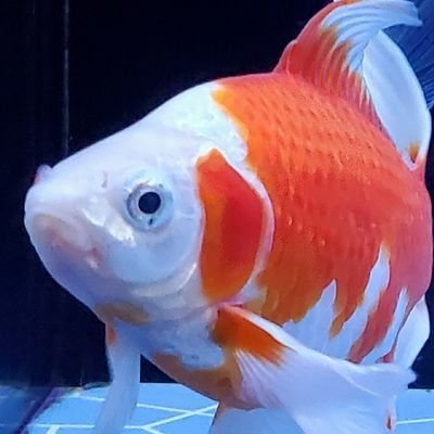 宇尾さんのプロフィール画像