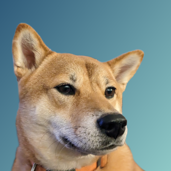 💜💜💜 Shiba Inu Profile Pic #NFTs 
🐶🐕‍🦺🐾🐕🦴🐩
#shiba #shibainu 
#Doge #DoOnlyGoodEveryday
#PolygonNFT