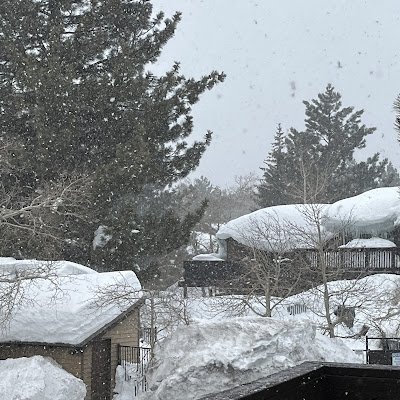 AizudaLuke21325's profile picture. 