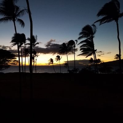 The_Creature_13's profile picture. 