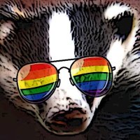 BadTemperedBadger🗿(@BadTemperBadger) 's Twitter Profile Photo