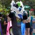 Jupiter Wolf (@brandon88645962) Twitter profile photo Jupiter Wolf (@brandon88645962) Twitter profile photo