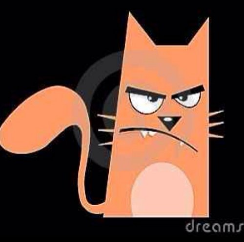 grumpisaurus's profile picture. very lucky boy! married with 2 little ones. petrol and pedal head. life is good!