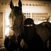 ملكه على عرشها (@a9615513) 's Twitter Profile Photo