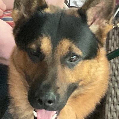 racistmike2's profile picture. My choice of name is due to the fact that society has label me this way because of the color of my skin.