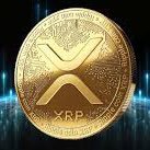 Crypto Brute XRP (@cryptobrutexrp) 's Twitter Profile
