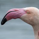 Ron Day - @rondayvu - Twitter