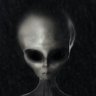 StrandedGrey's profile picture. UFO researcher - Astral Projection - DMT - Ayahuasca - Rosicrucian - Meditation -