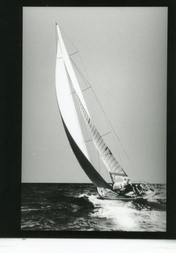 CapeAnnPhoto's profile picture. Established in 1988 by Dave Stotzer.