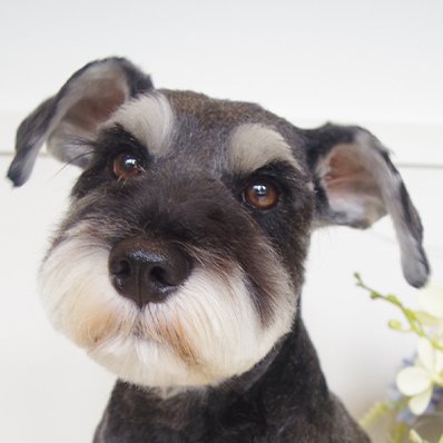 burnthecosumo's profile picture. フォロワー1,000を目指します❗
無言フォロー失礼いたします🙇‍♂️
#テニス#ゴルフ#グルメ#お酒#相互フォロー