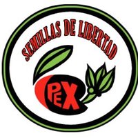 PEXSemillasdeLibertad(@PEXsemillasdeLi) 's Twitter Profile Photo