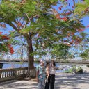 Lillian Warner - @Lillian47156731 - Twitter